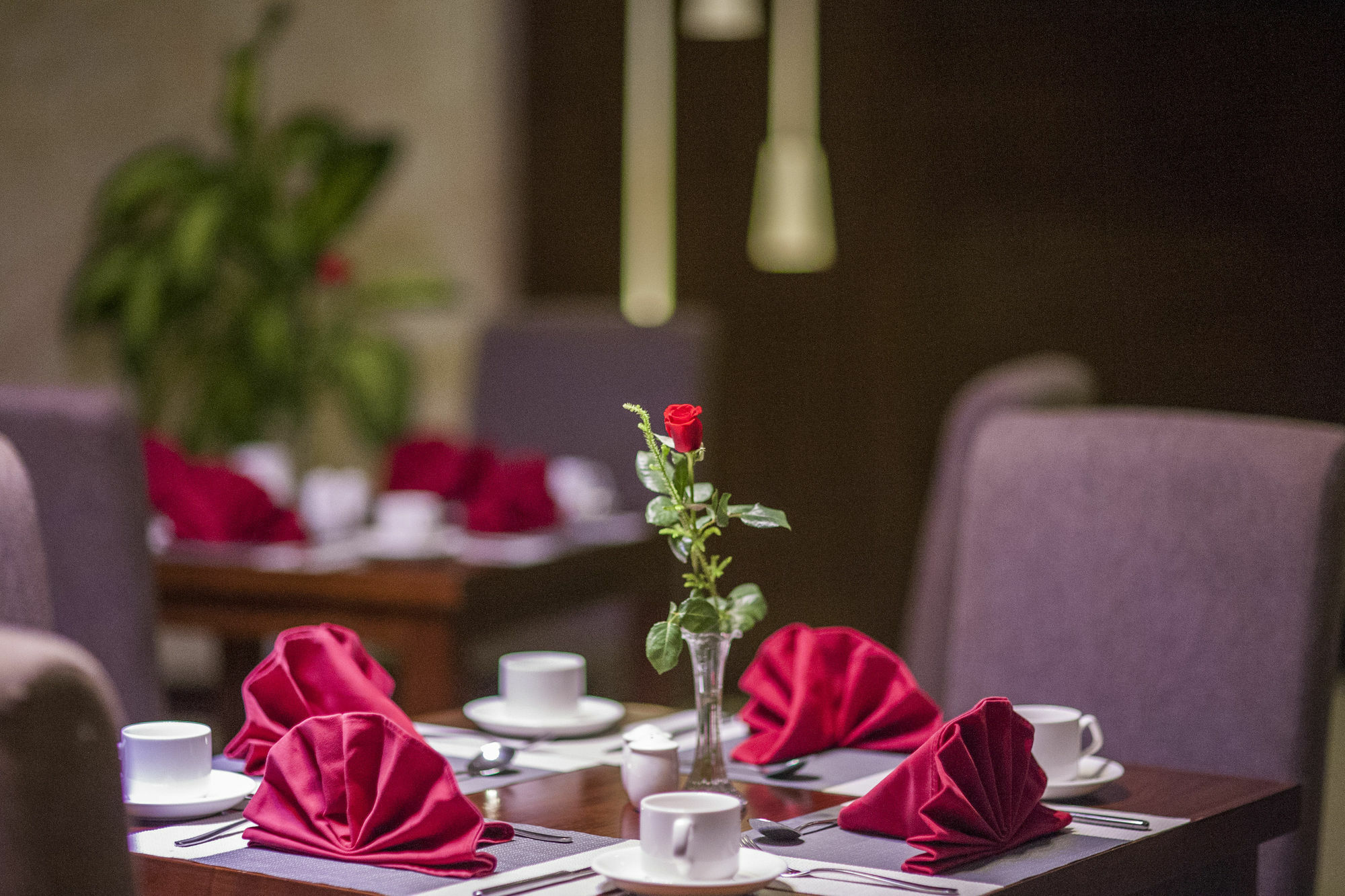 Muong Thanh Grand Quang Tri Hotel Exteriér fotografie